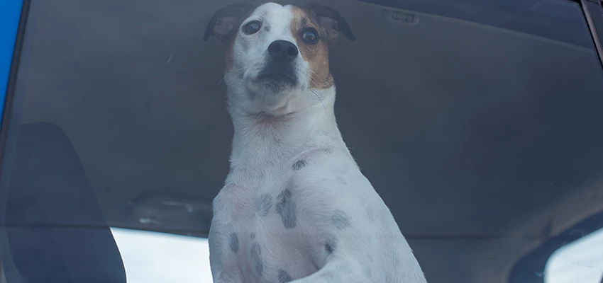 Car Lockout Solutions in East Porterville, California